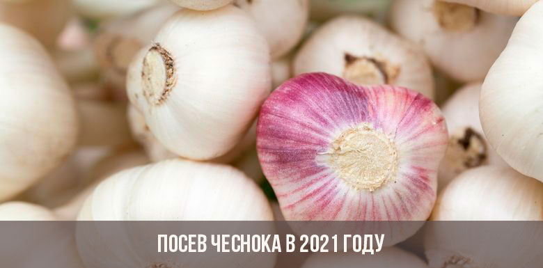 Кракен работает